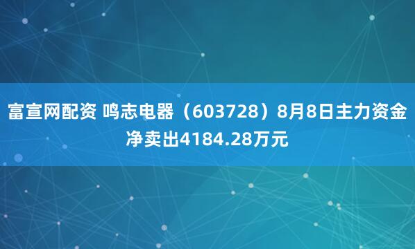 富宣网配资 鸣志电器（603728）8月8日主力资金净卖出4184.28万元