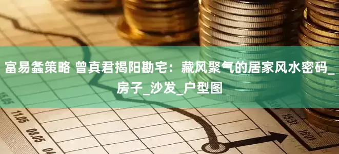 富易螽策略 曾真君揭阳勘宅：藏风聚气的居家风水密码_房子_沙发_户型图