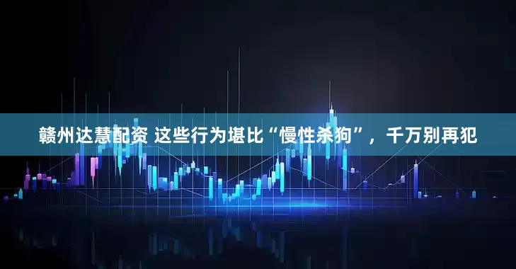 赣州达慧配资 这些行为堪比“慢性杀狗”，千万别再犯